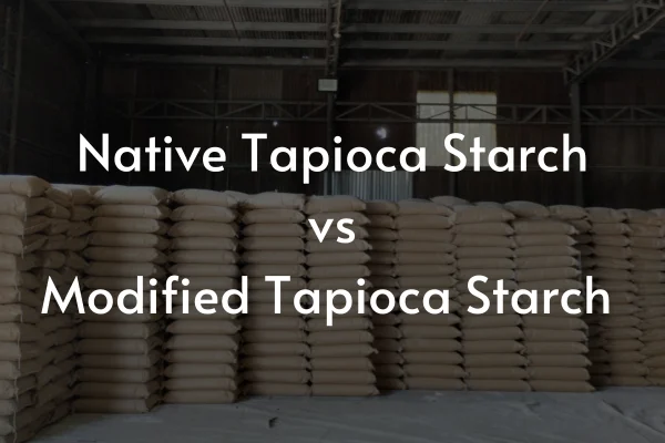 Native Tapioca Starch vs Modified Tapioca Starch: What are differences?