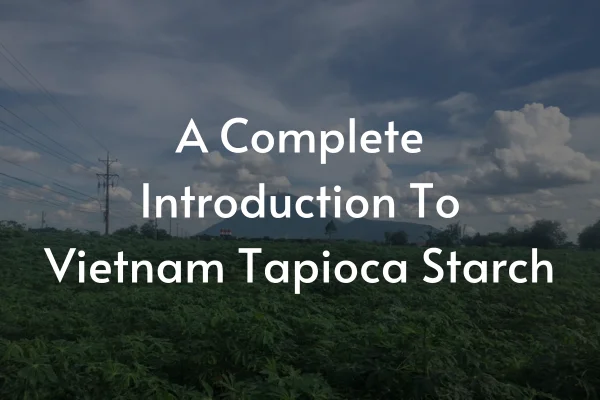 A Complete Introduction To Vietnam Tapioca Starch