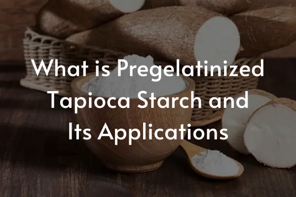 What is Pregelatinized Tapioca Starch and Its Applications