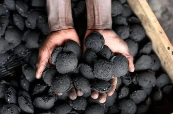 Tapioca Starch for Charcoal Briquettes