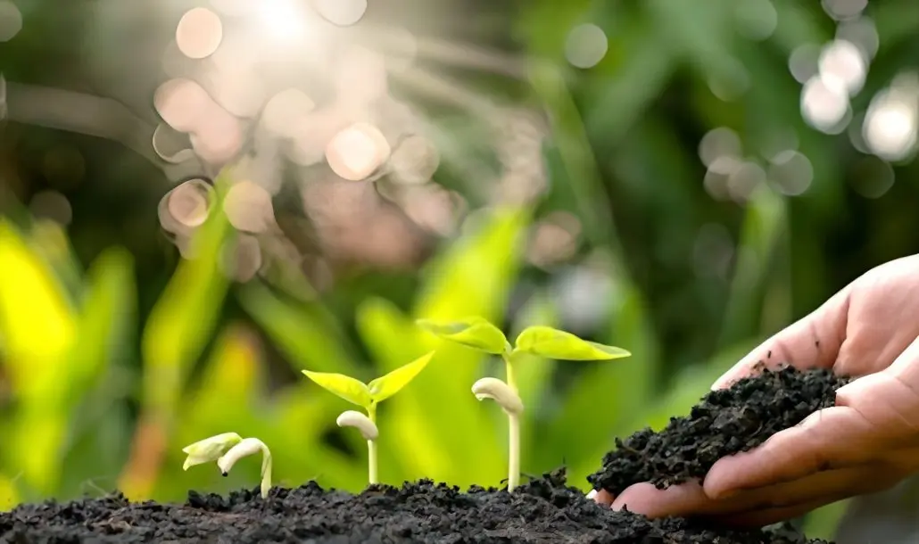 Tapioca Starch For Fertilizer/Biostimulant